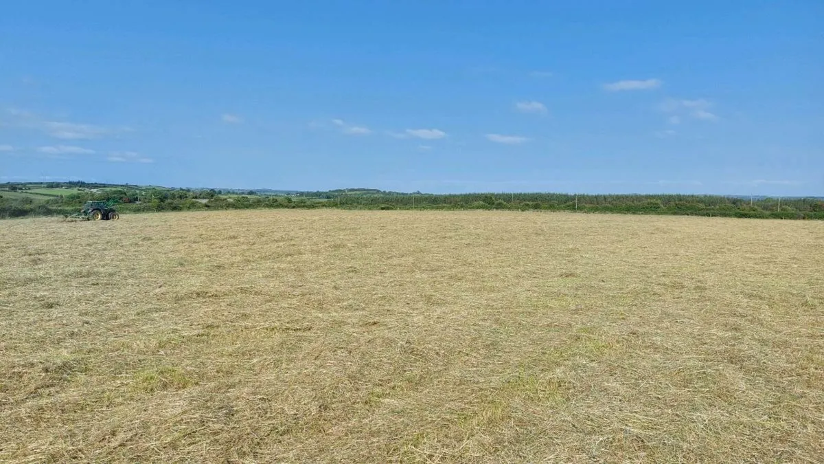 Small square bales hay - Image 4