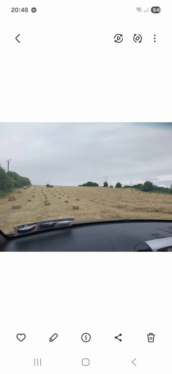 Square bales of hay - Image 2