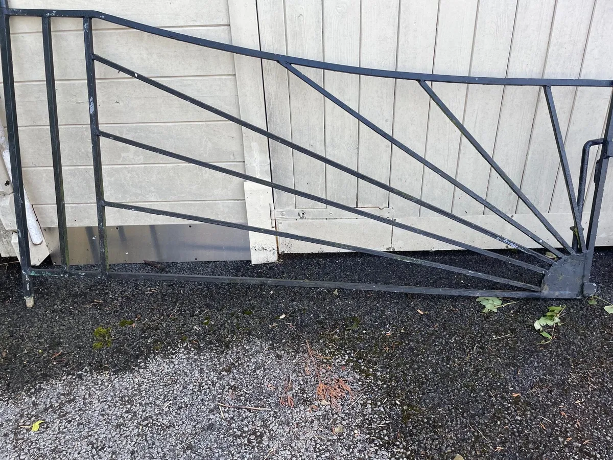 Gates. Wrought iron - Image 3