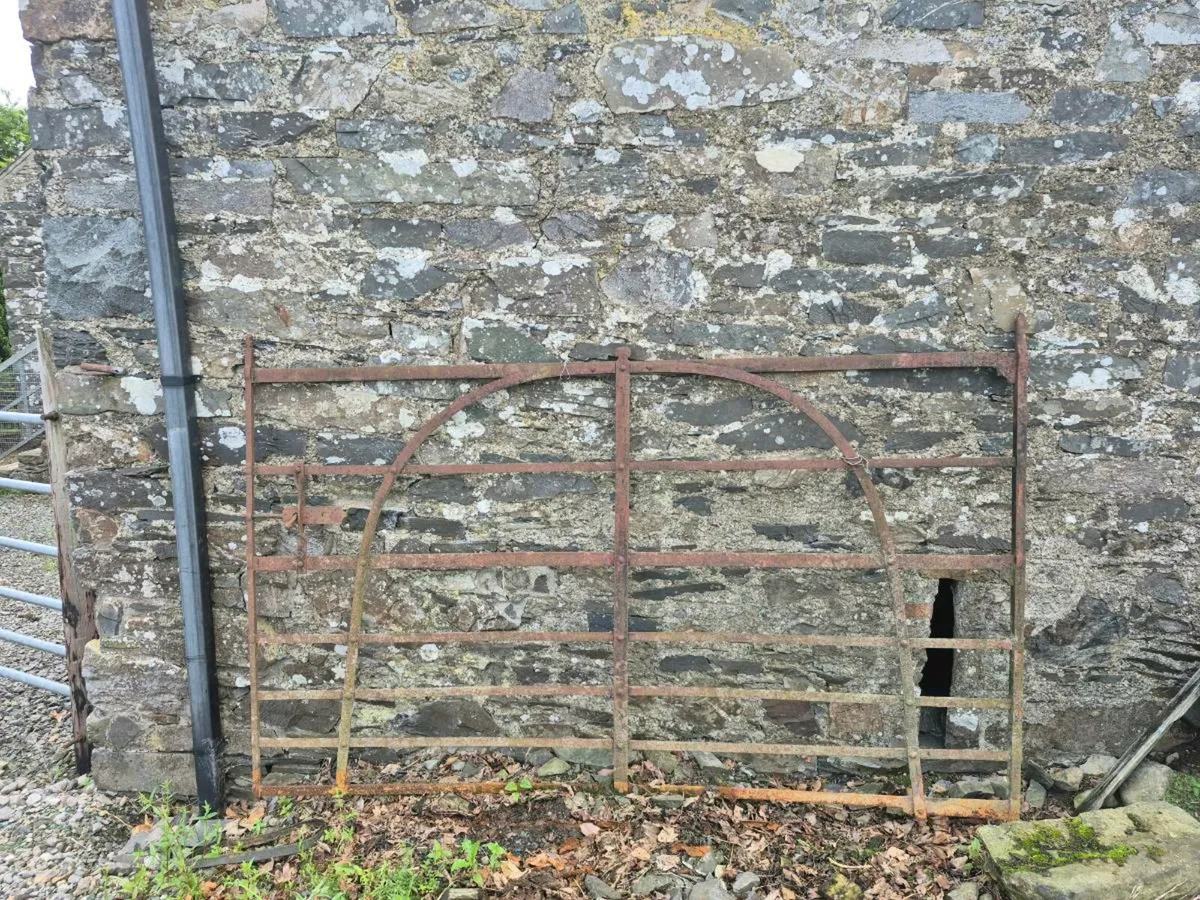 Antique wrought iron gates - Image 1