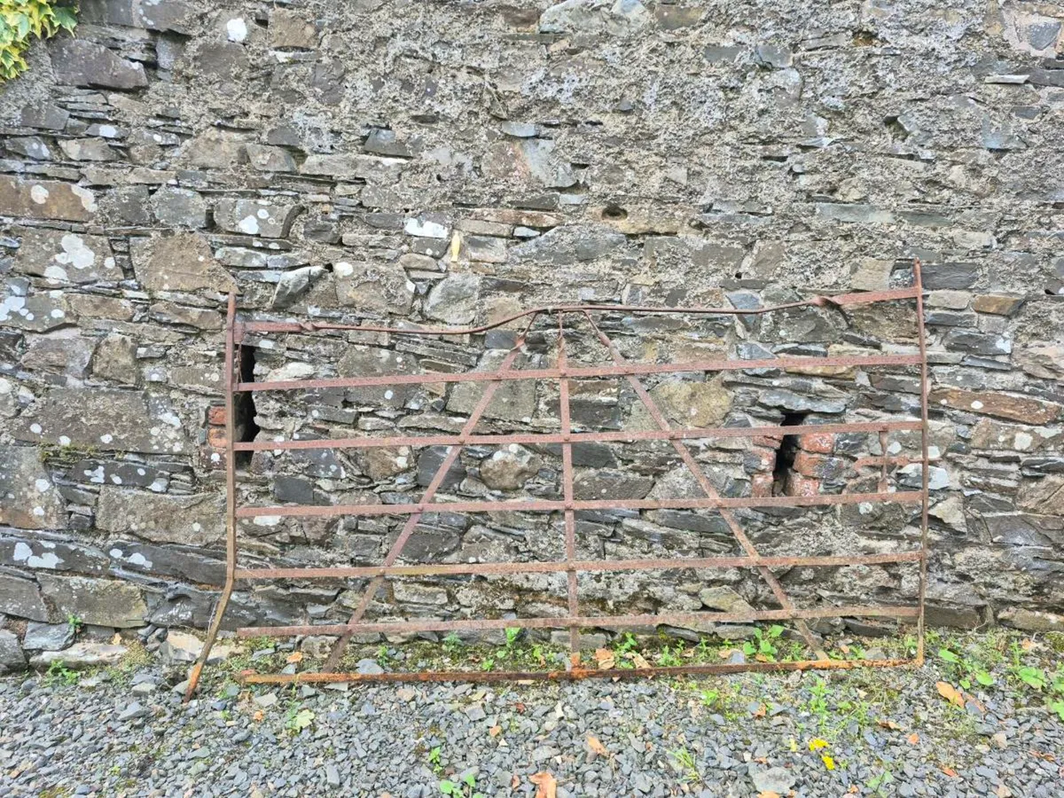 Antique wrought iron gates - Image 2