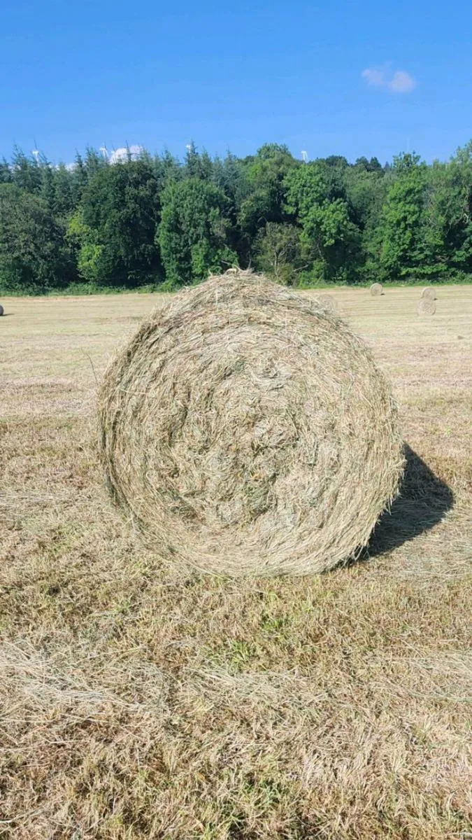 Hay Round Bales - Image 1