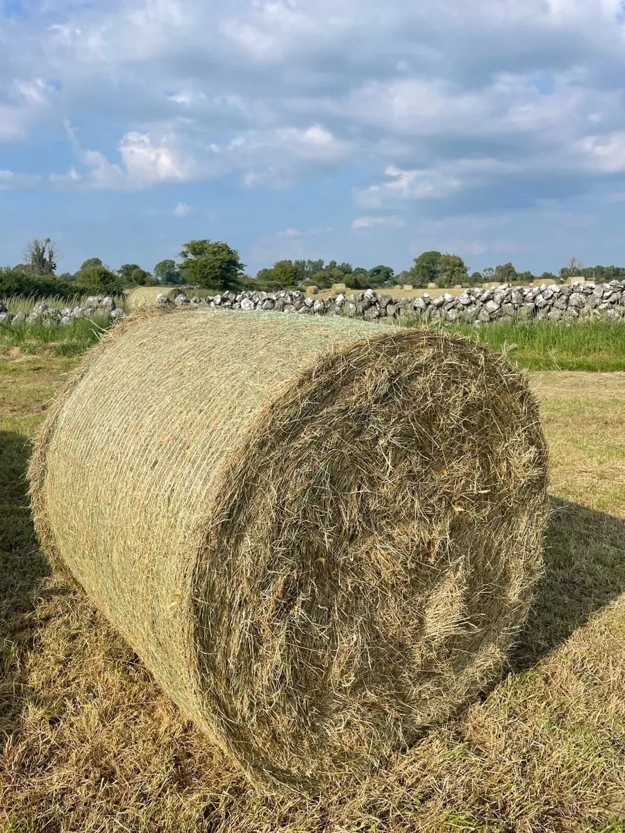 Top Quality Hay - Image 1