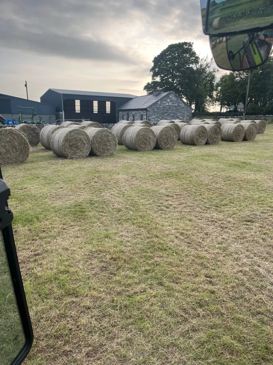 Hay - Image 3