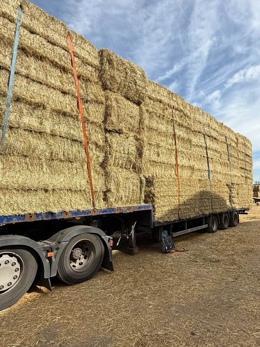 Look New season English hay 8x4x3 and 8x4x2.5 - Image 4