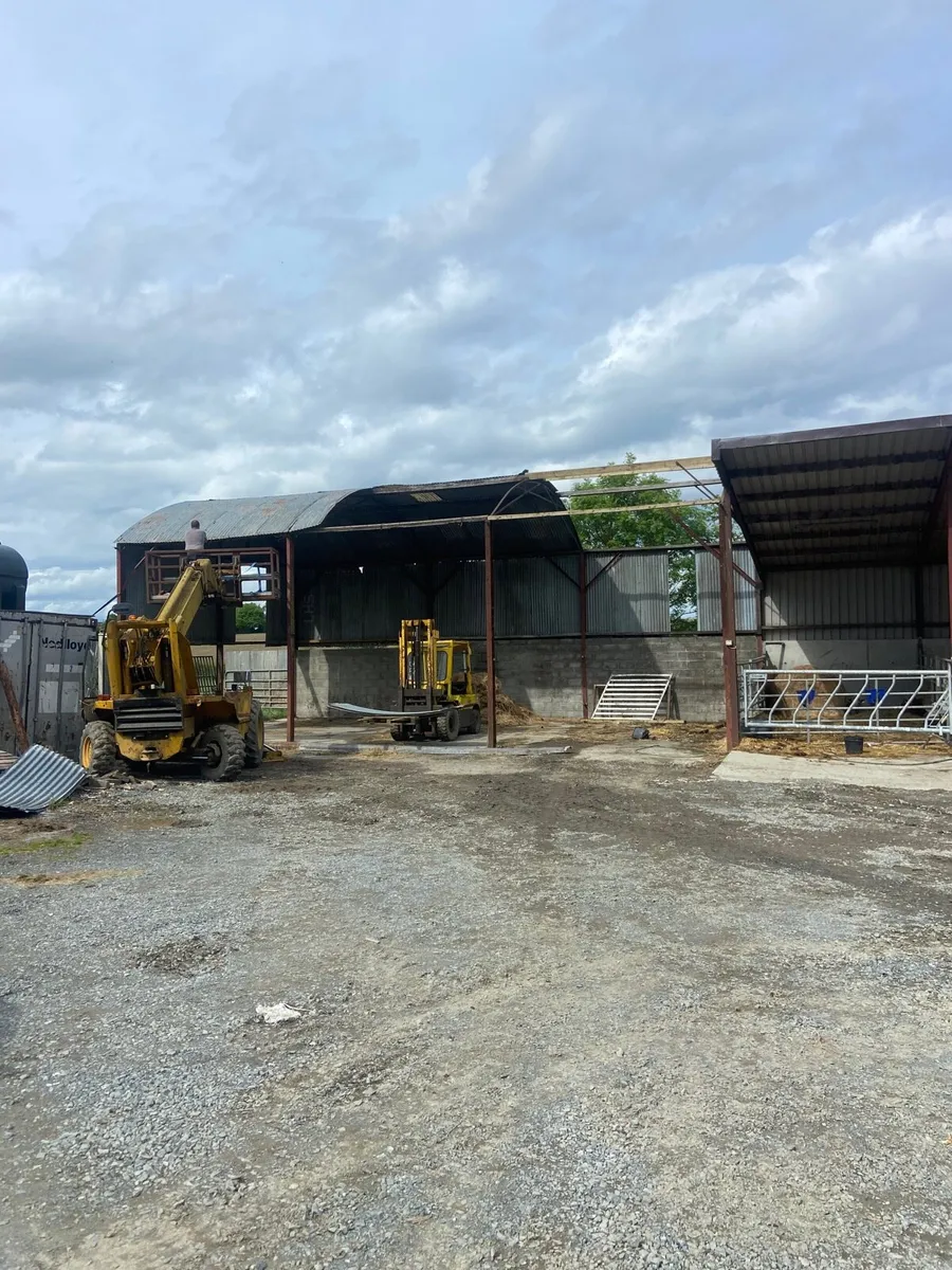 Shed - Image 4