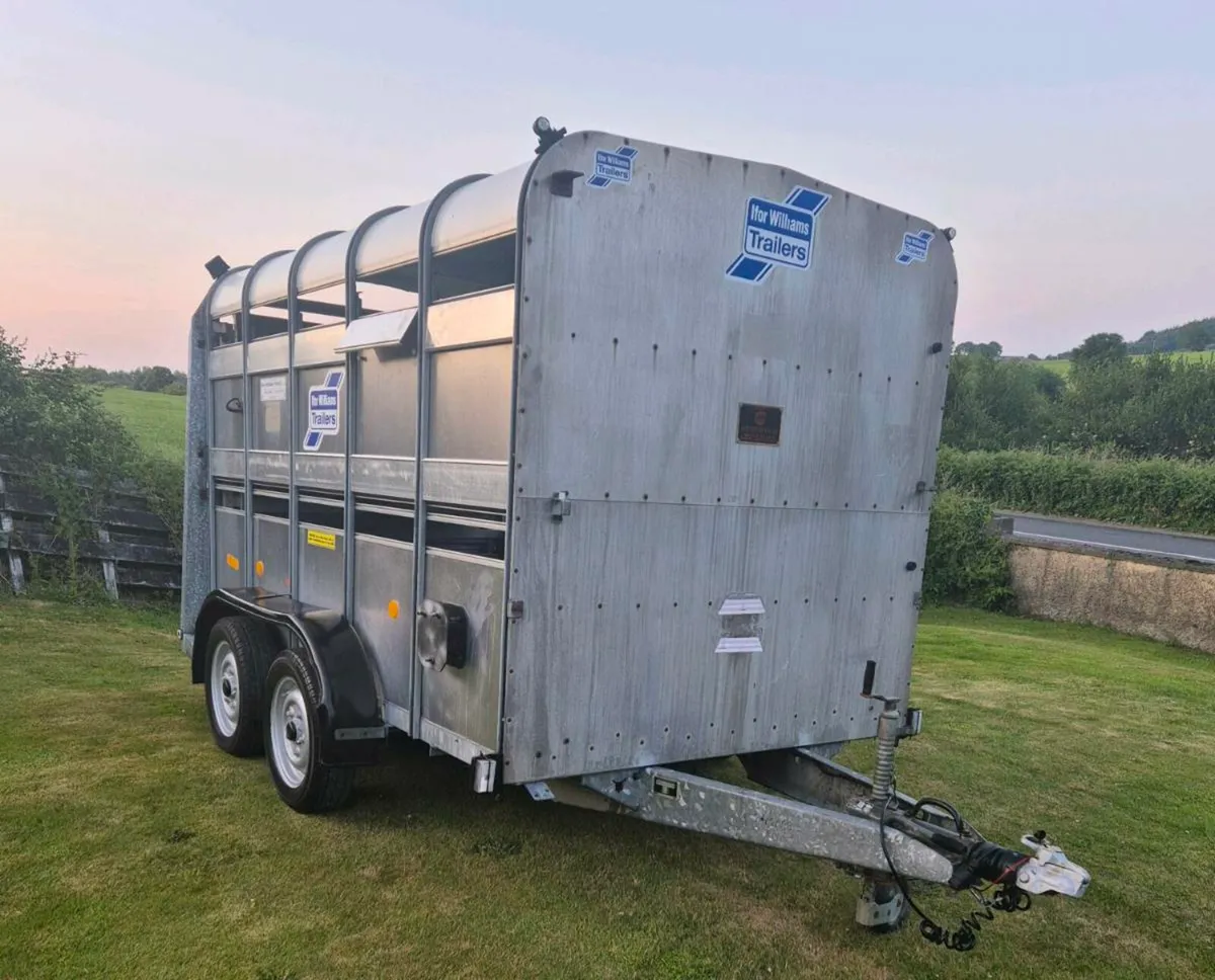 Ifor williams 10 x 6 cattle/sheep trailer - Image 1