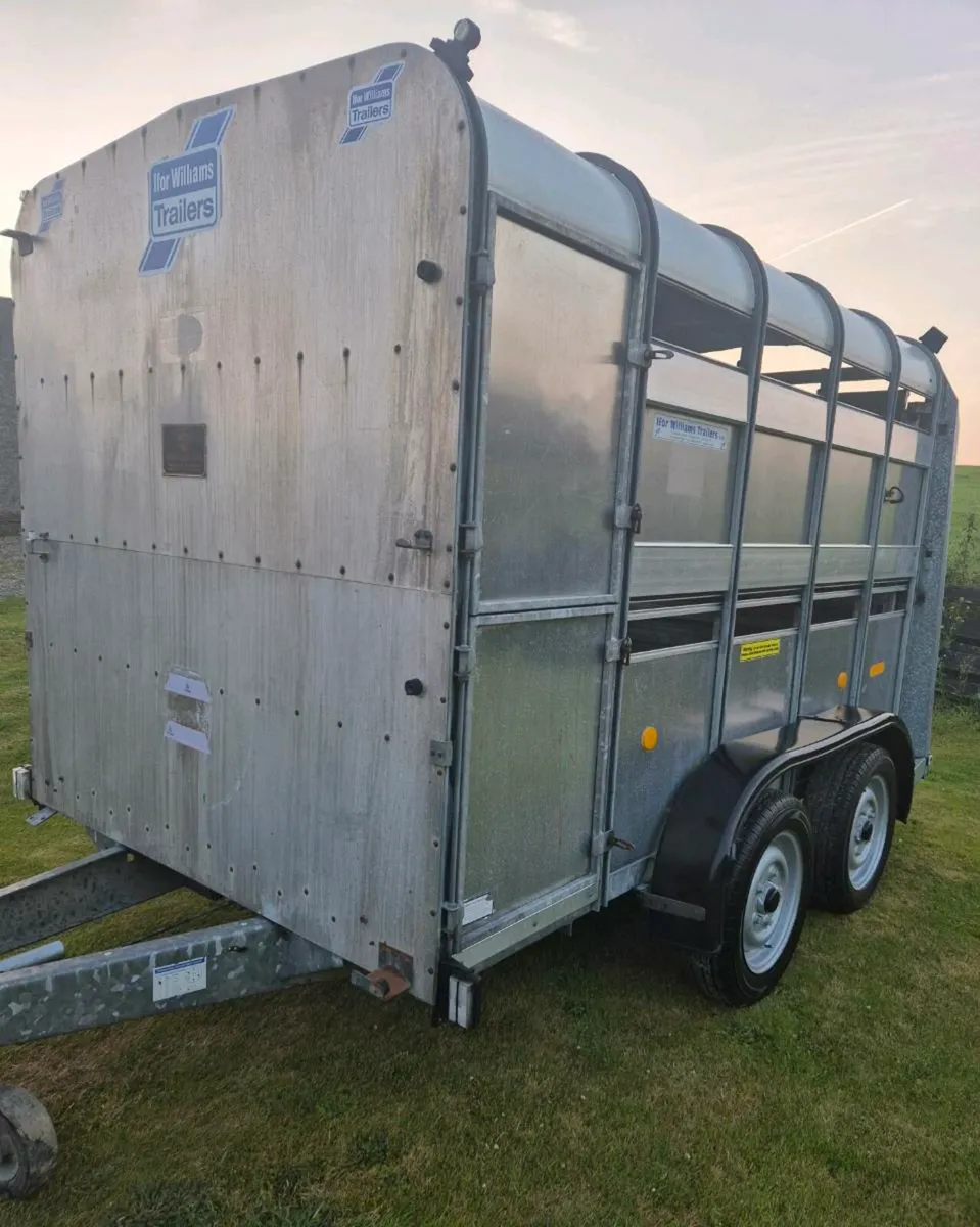 Ifor williams 10 x 6 cattle/sheep trailer - Image 3