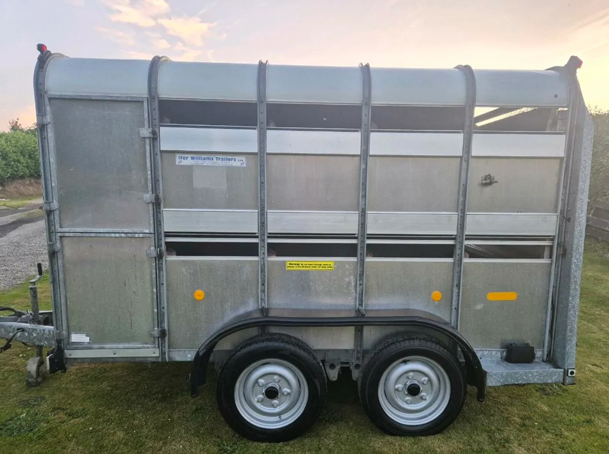 Ifor williams 10 x 6 cattle/sheep trailer - Image 4