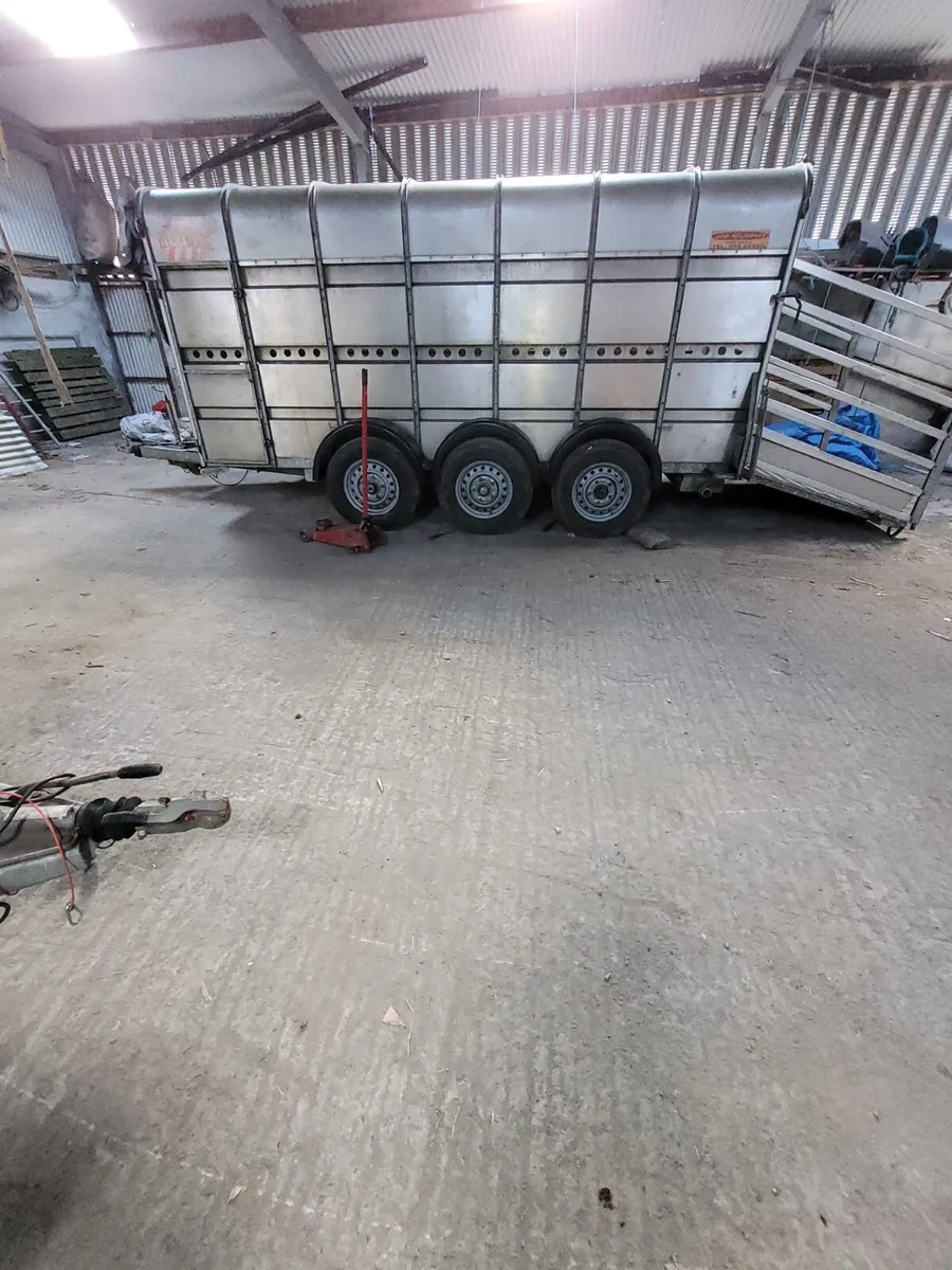 Murphy’s Trailer - Image 1