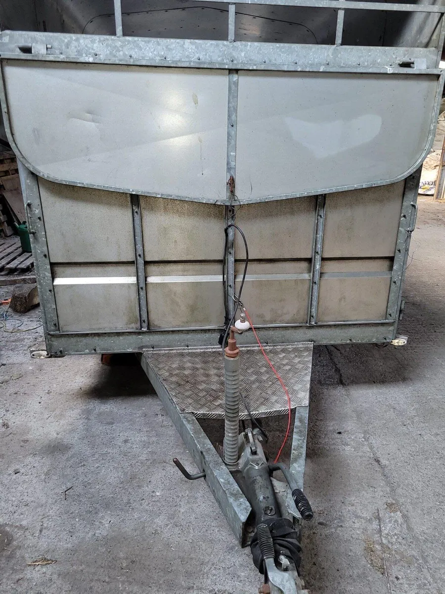 Murphy’s Trailer - Image 4