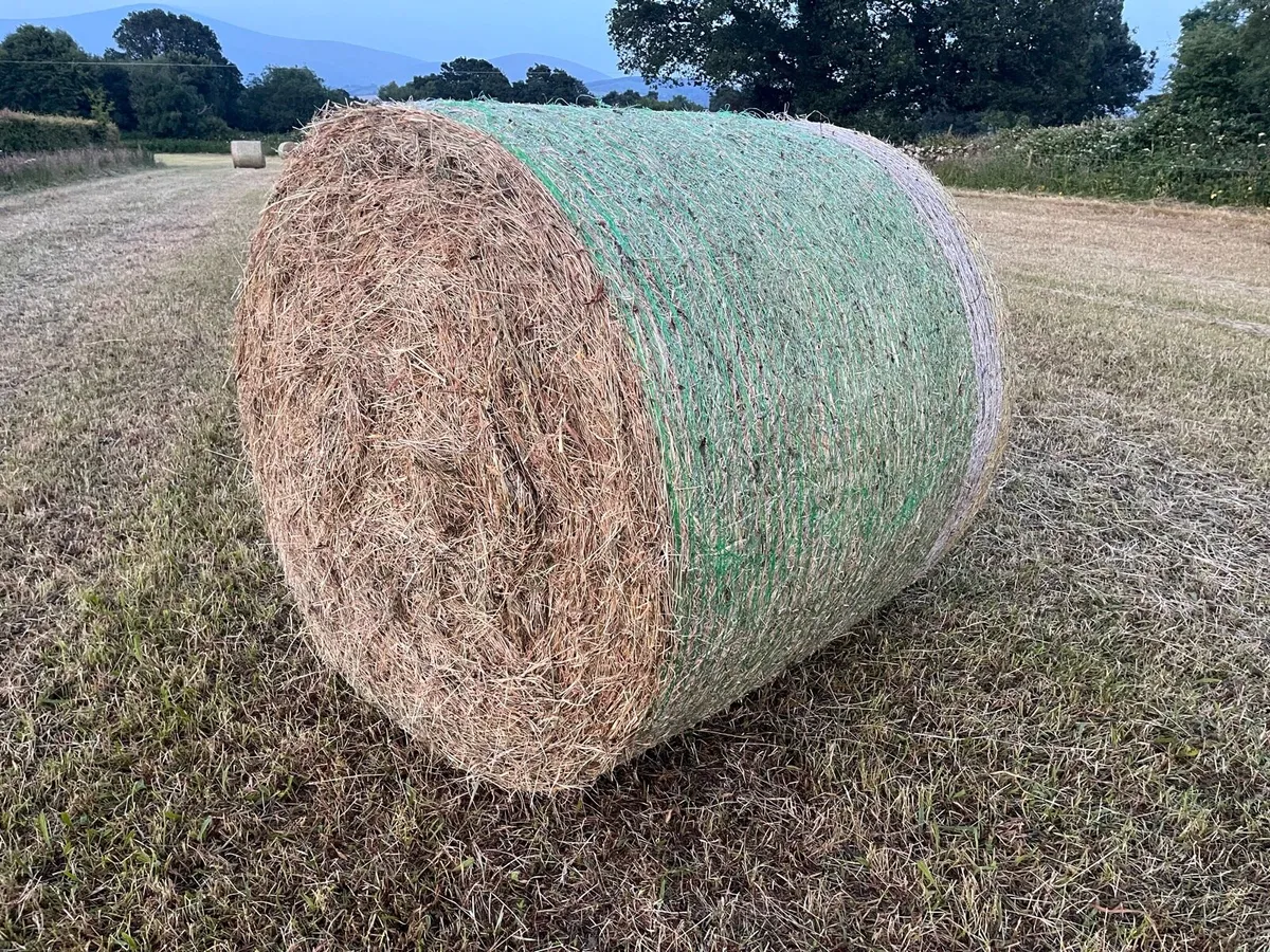 Hay Bales - Image 1