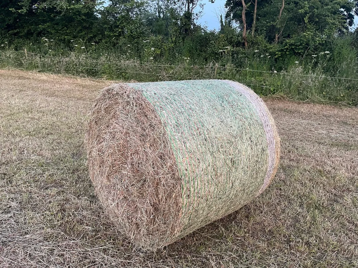 Hay Bales - Image 2