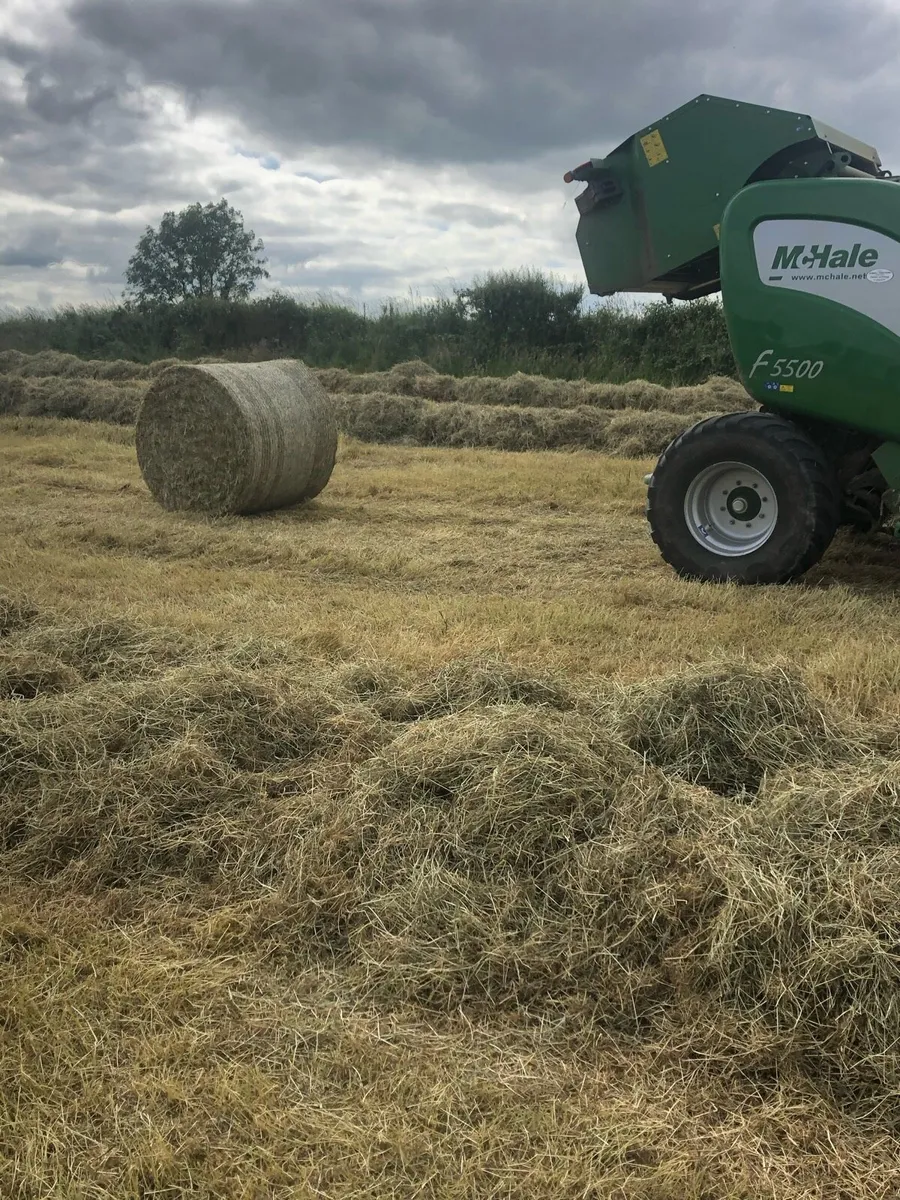 Round bales of June hay baled with Mchale - Image 2