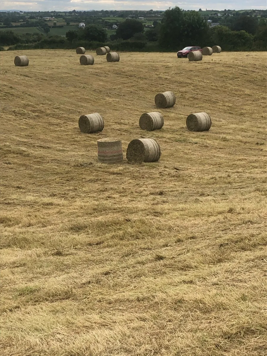 Round bales of June hay baled with Mchale - Image 3