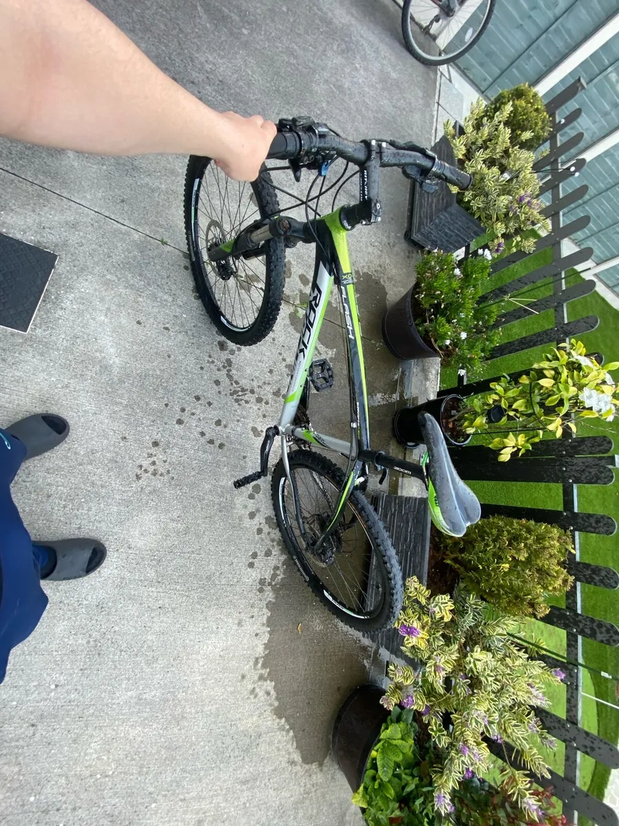Bike - Image 2