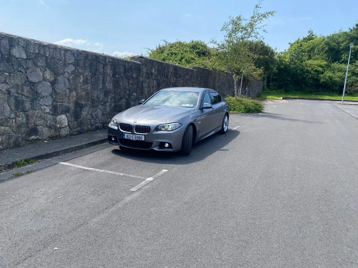 2016 BMW 520d (162) - Image 3
