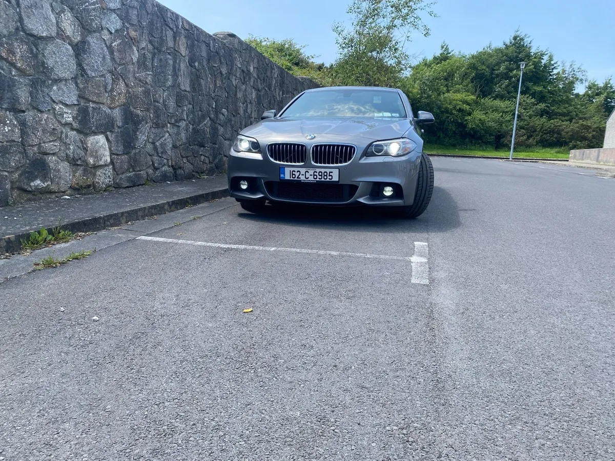 2016 BMW 520d (162) - Image 4