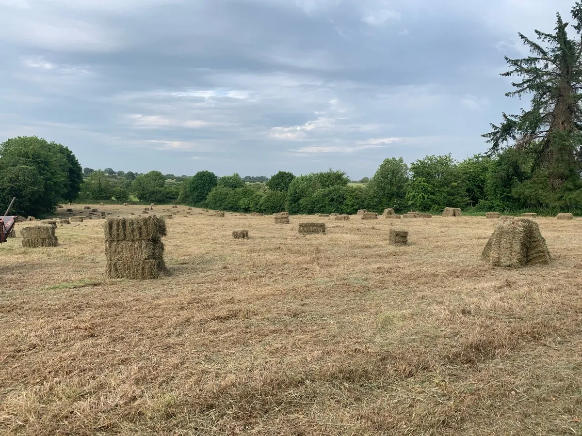 Square bales hay