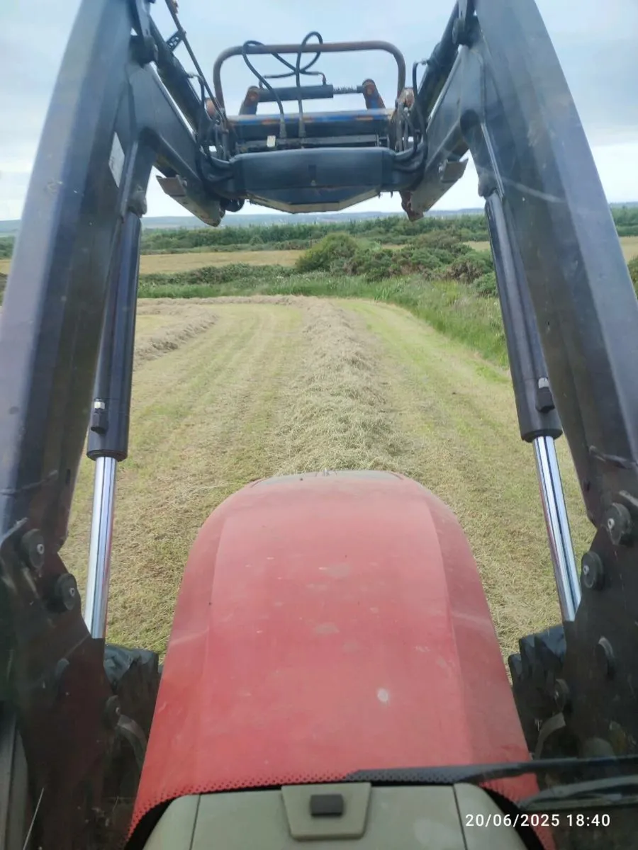 Hay - Image 2