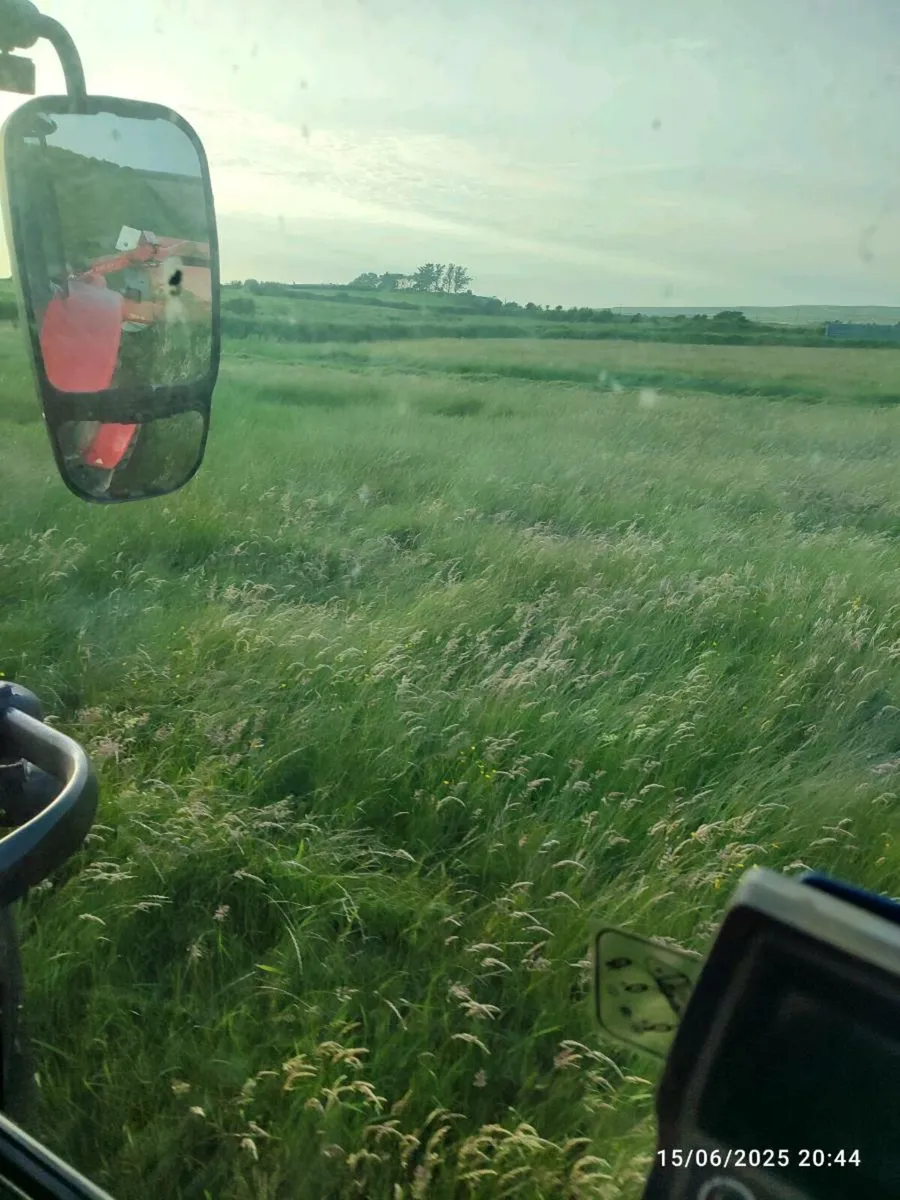 Hay - Image 4