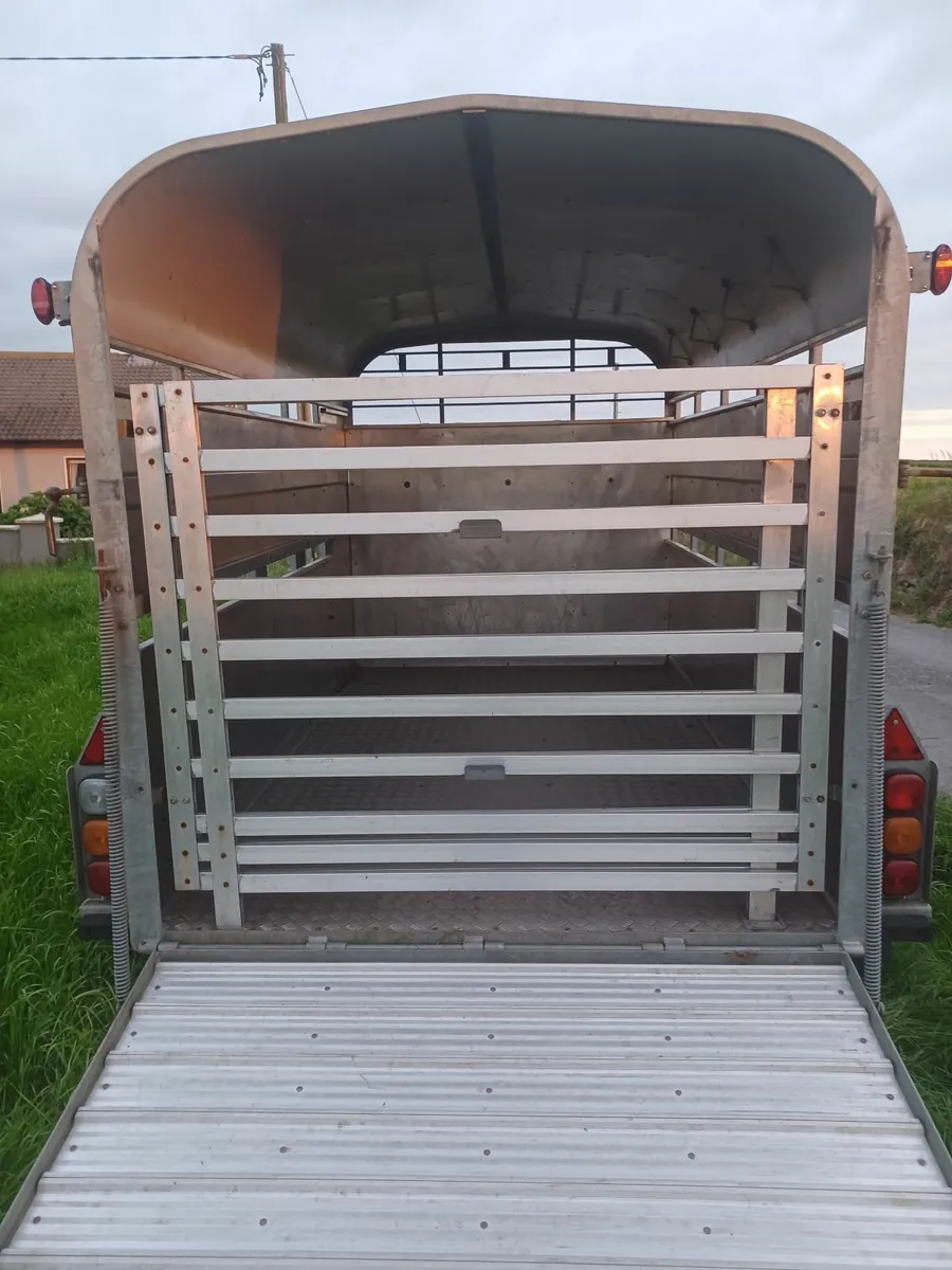 Nugent 10 x 6 Cattle Trailer For Sale - Image 2