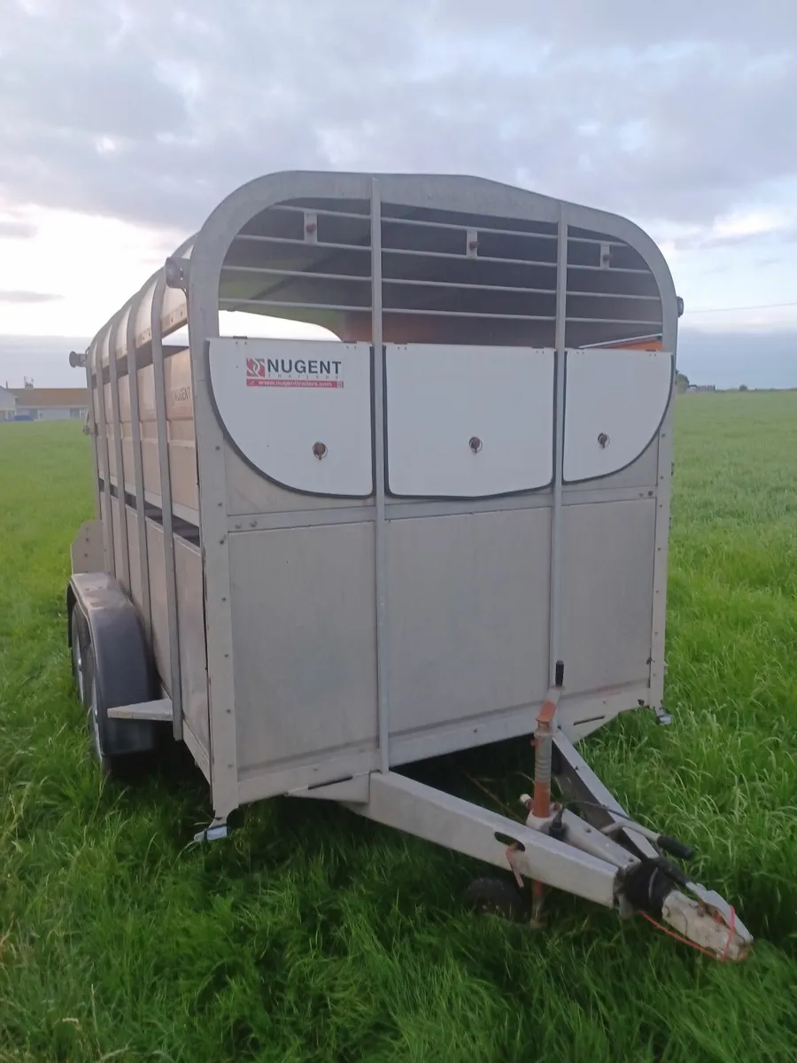 Nugent 10 x 6 Cattle Trailer For Sale - Image 4