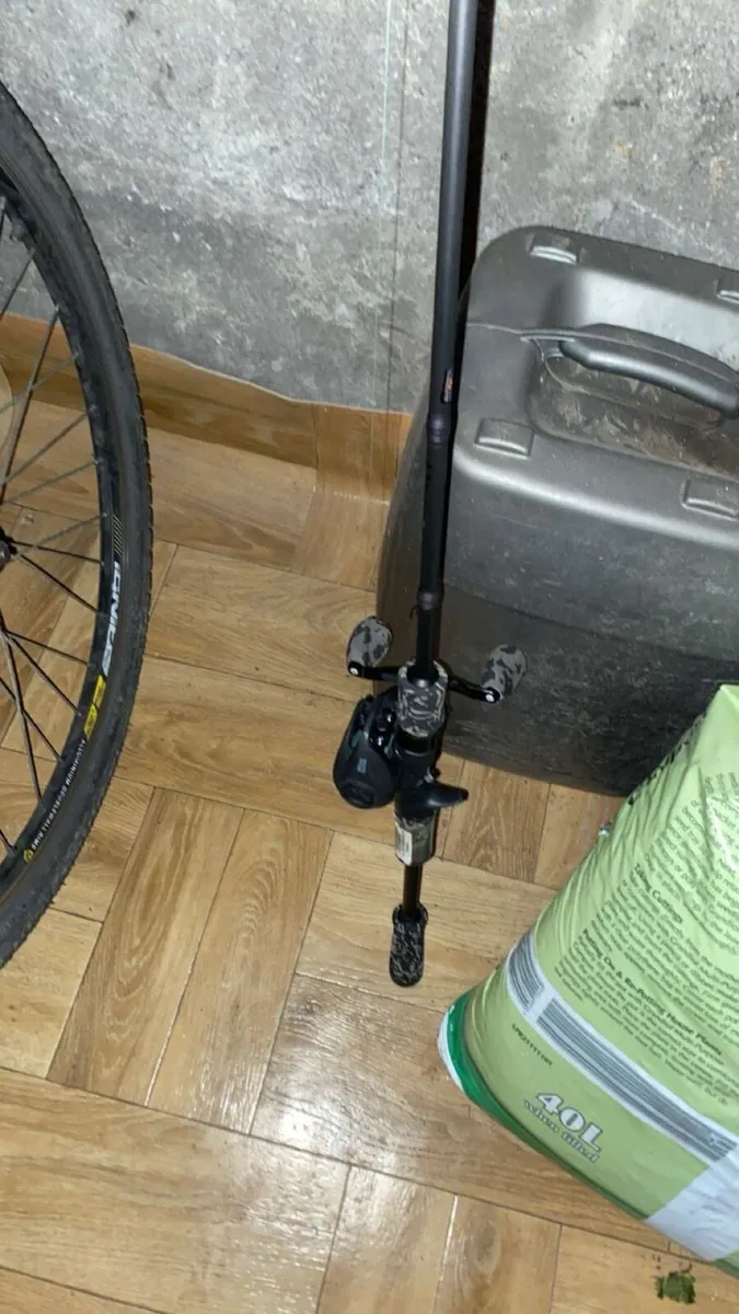Fishing rod - Image 1