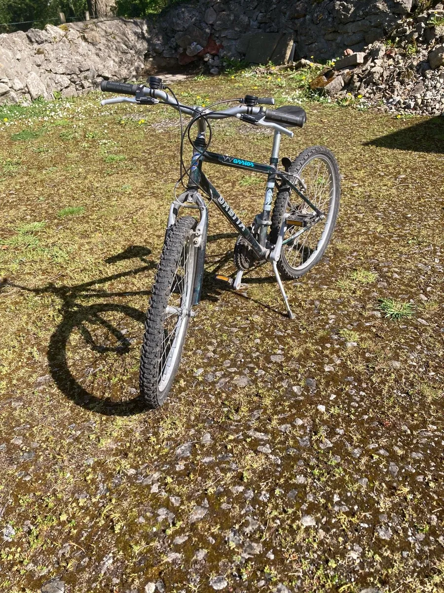 Bike - Image 1