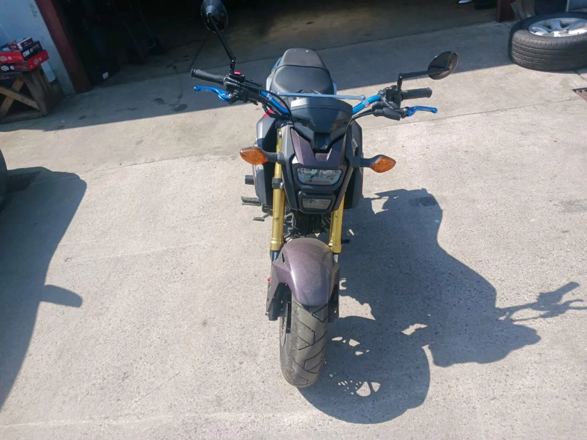 Honda grom - Image 2