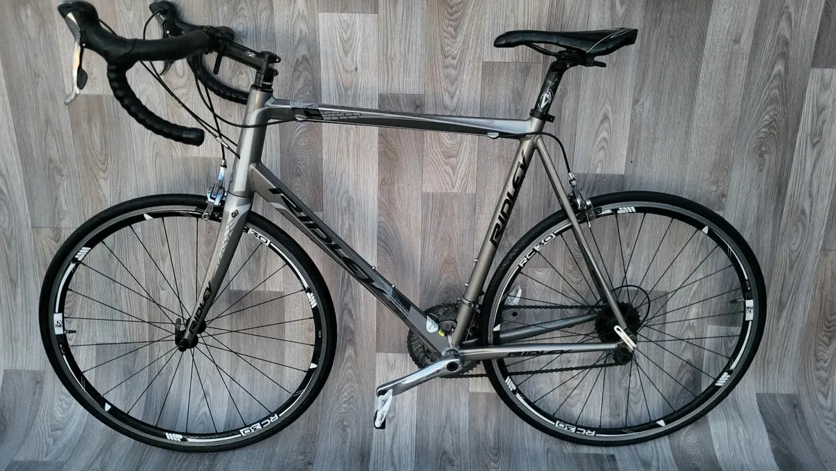 Ridley - Image 2