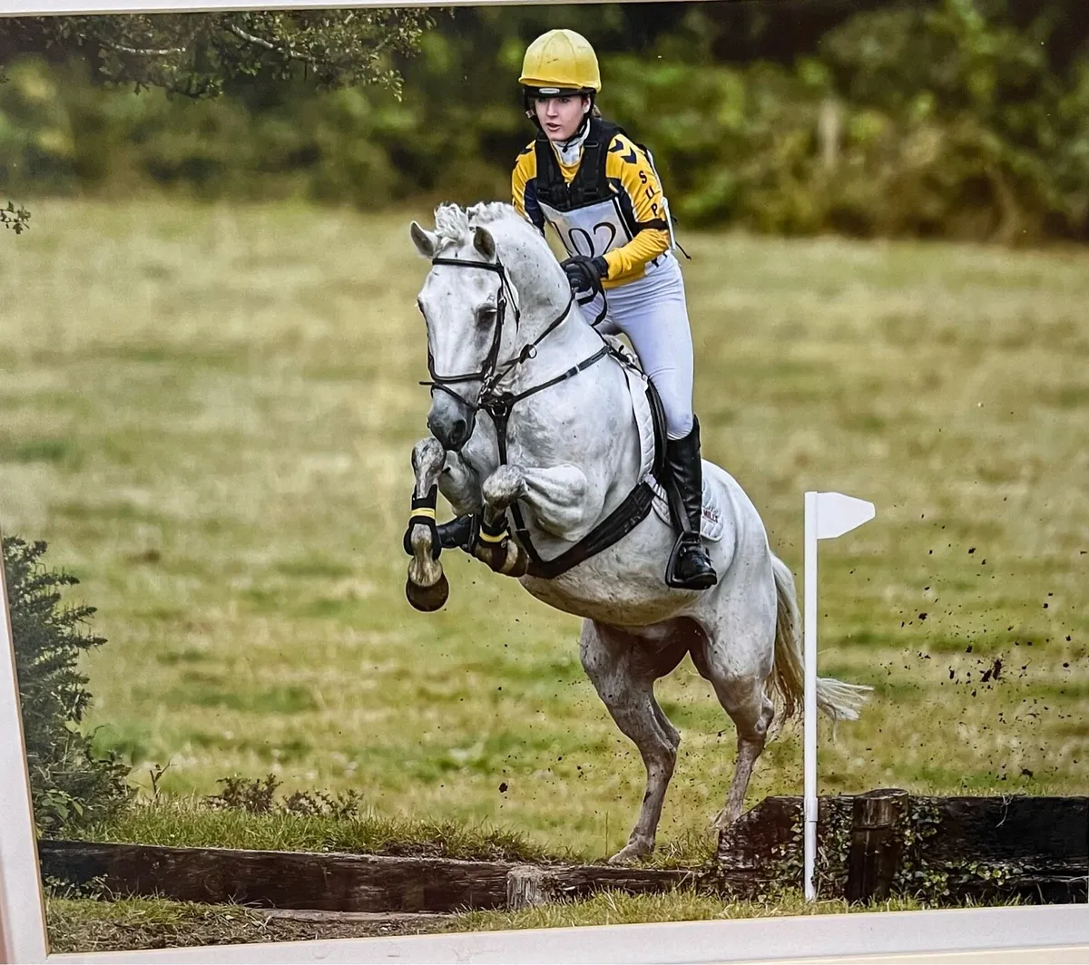 14.2  schoolmaster - Image 3