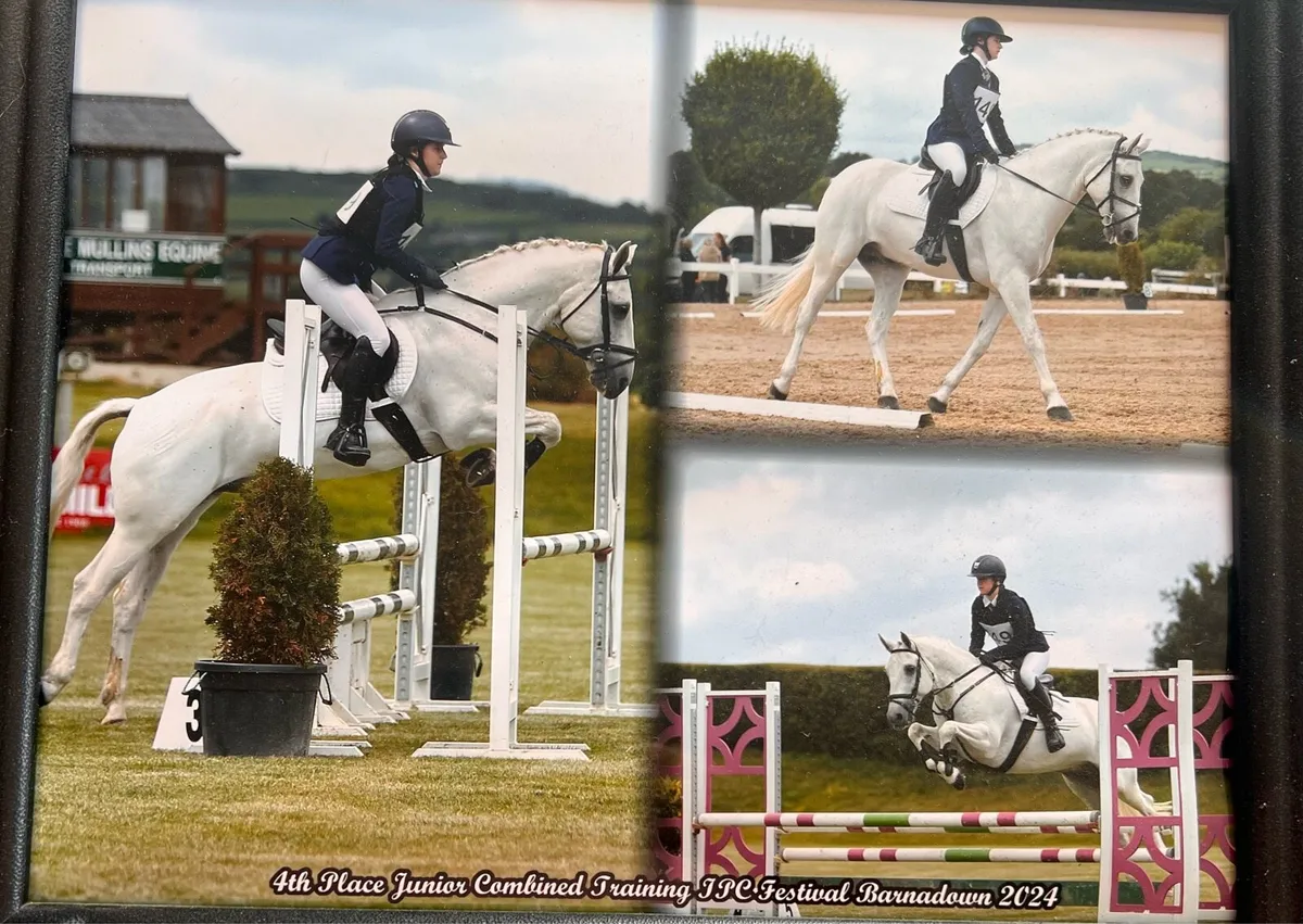14.2  schoolmaster - Image 1
