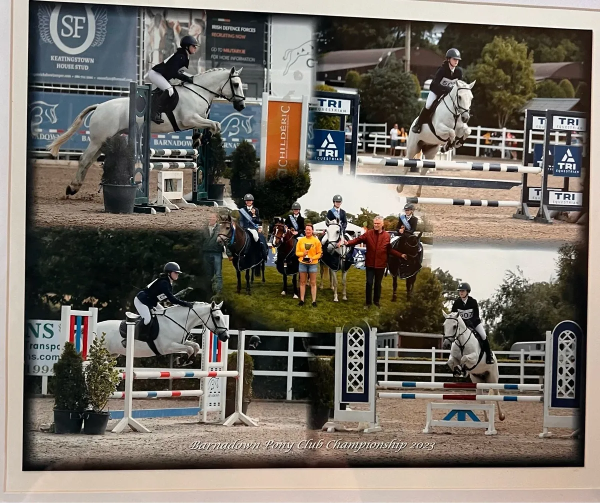 14.2  schoolmaster - Image 2