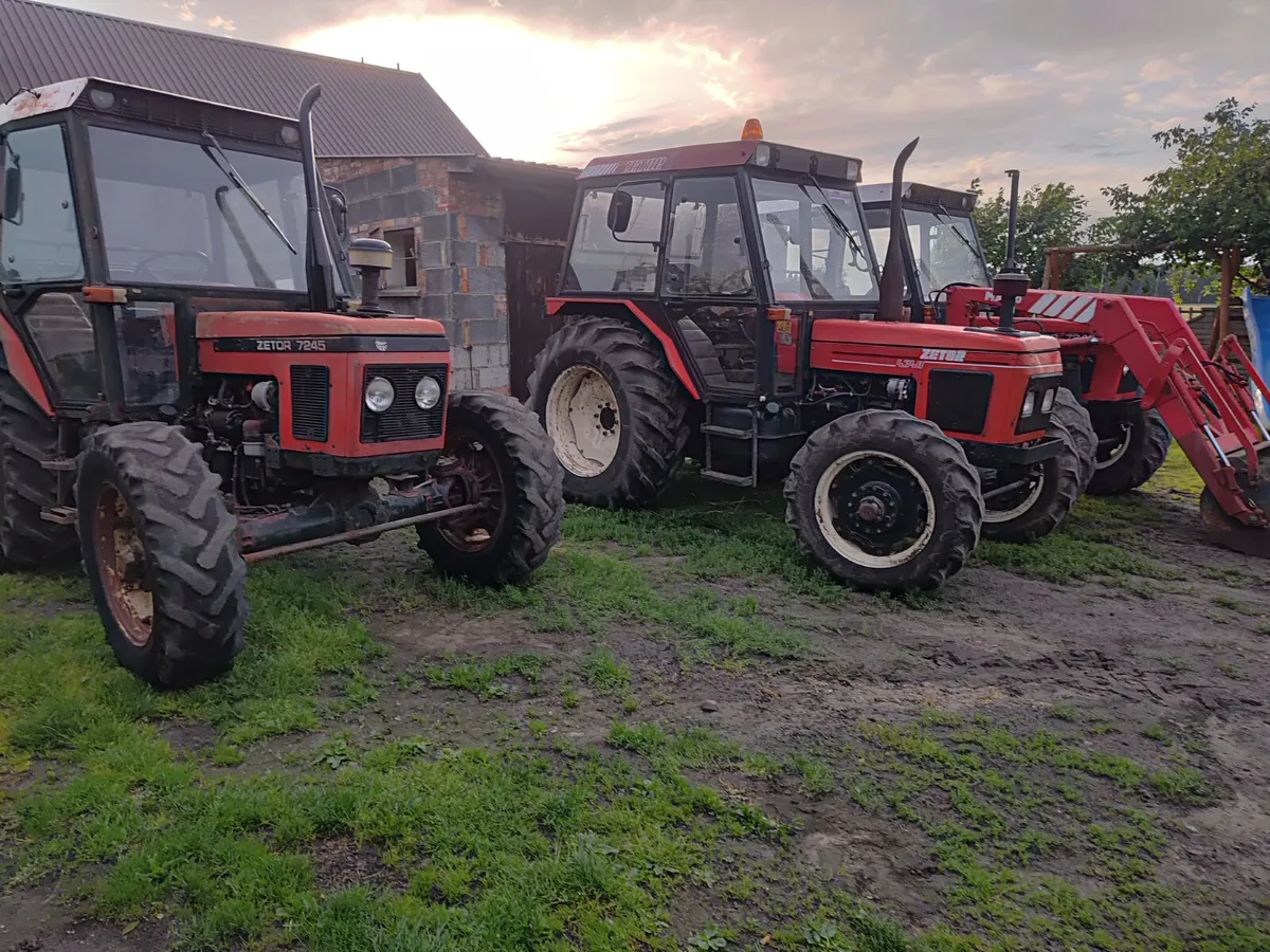 zetor 7245 5211 6245 wanted - Image 4