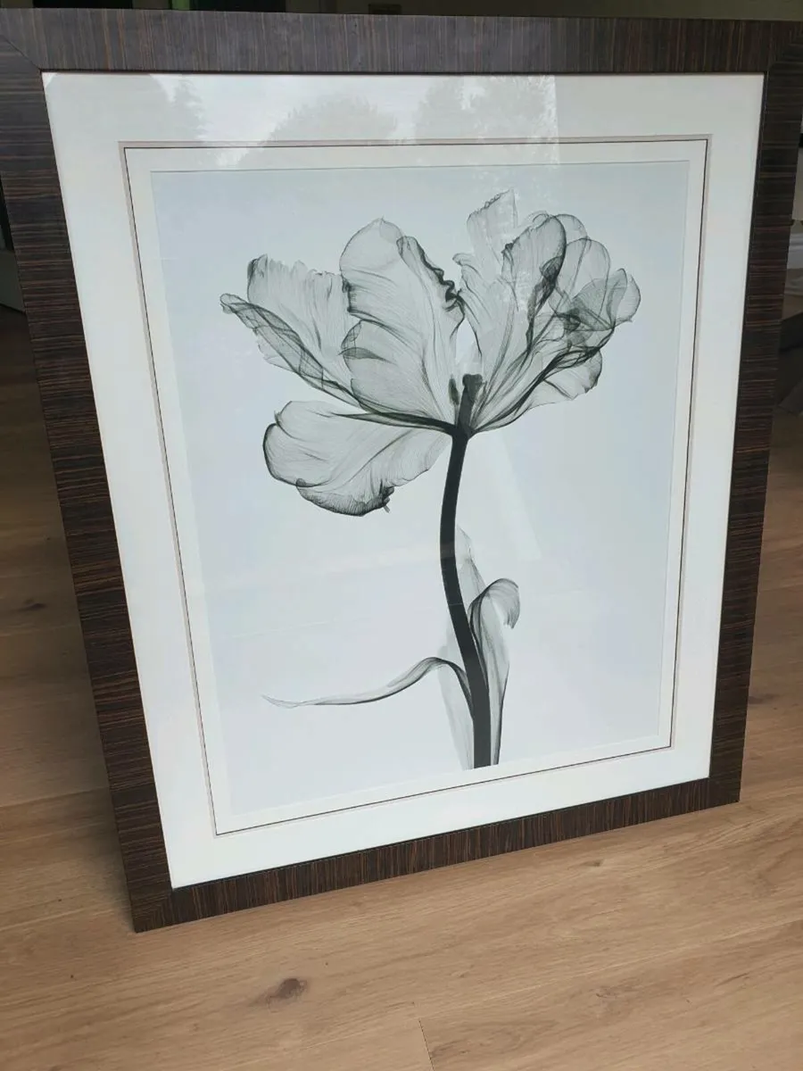 Picture - Image 1