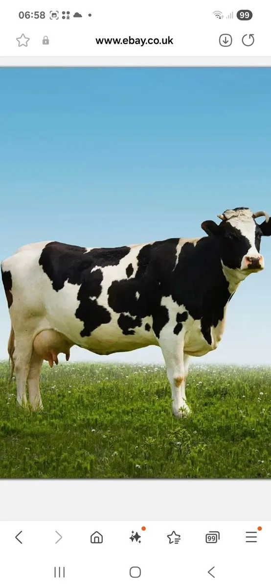 Relief milker