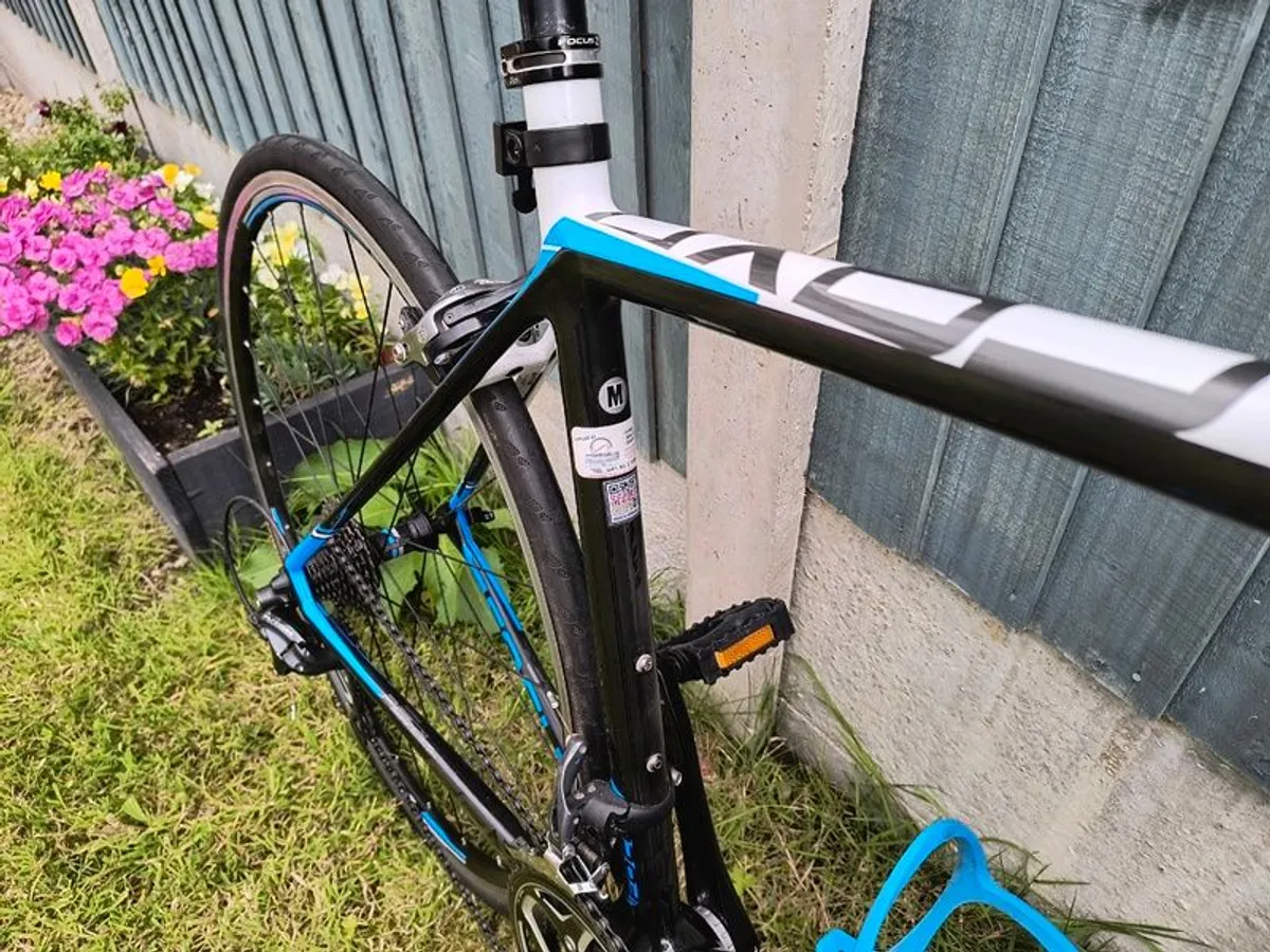 Road bike - Focus Cayo - Image 3