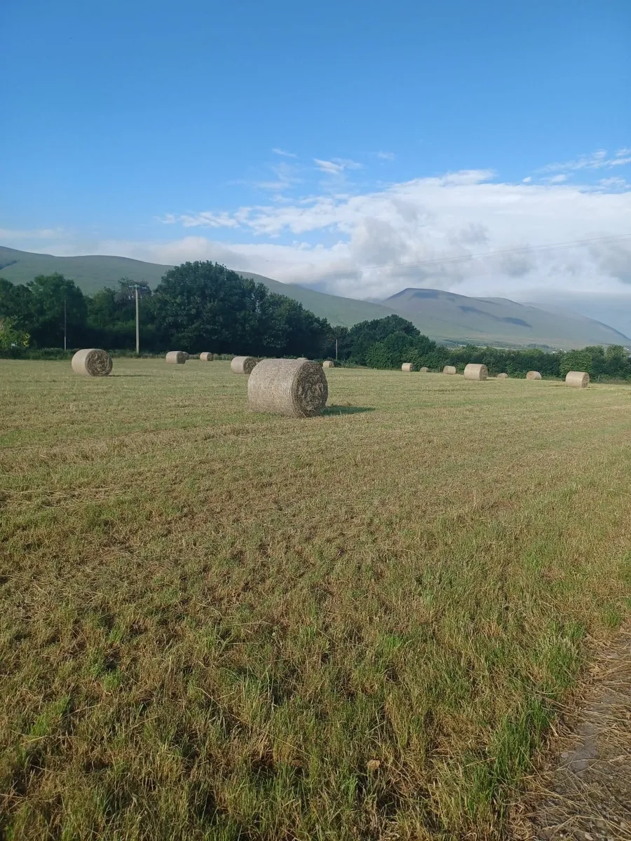 round bales of hay
