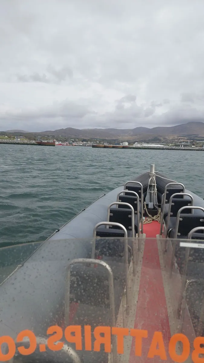 Passenger Rib Boat - Image 2