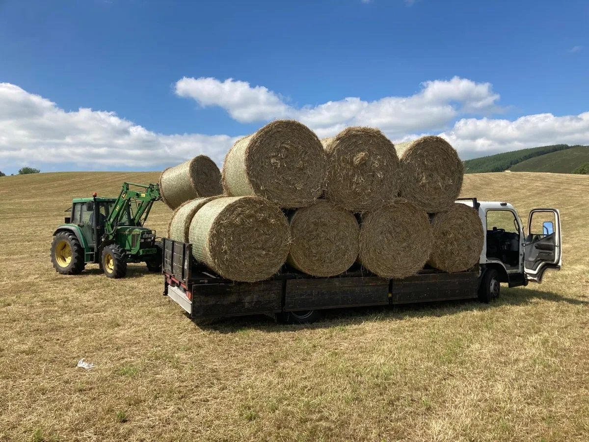 Hay Bales - Image 1
