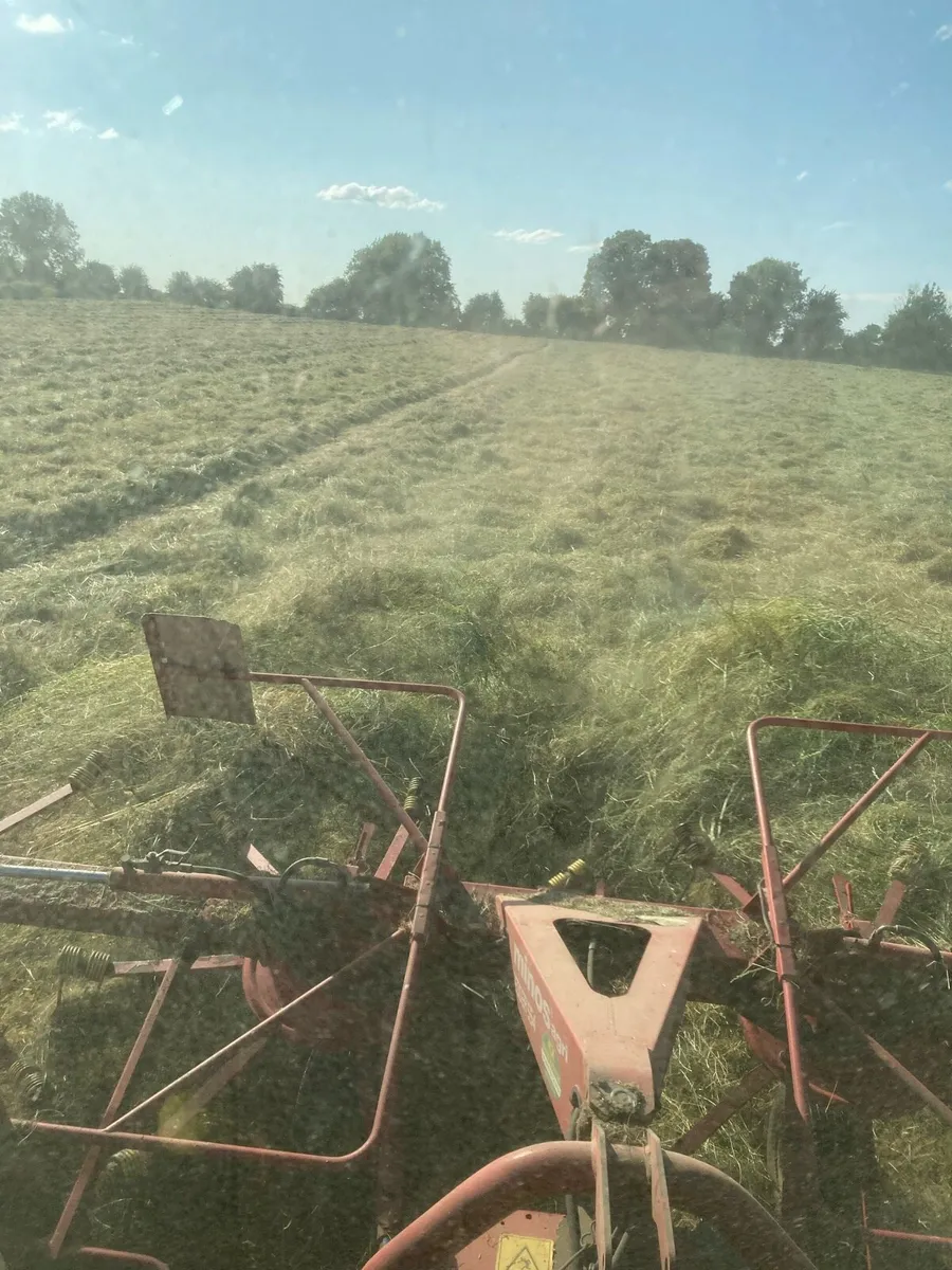 Square bales hay - Image 3
