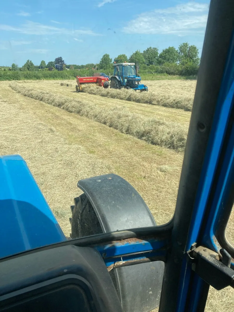 Square bales hay - Image 4