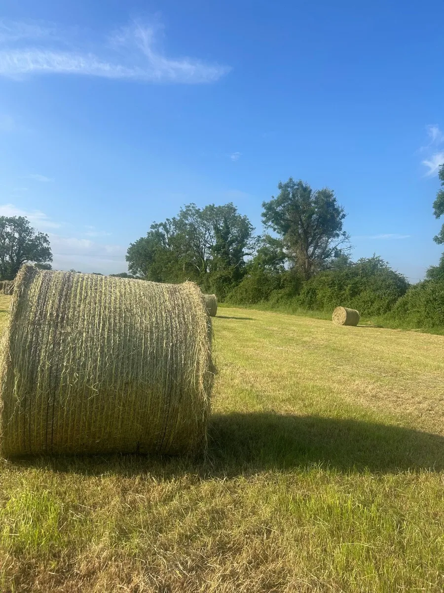 Round Bale Hay