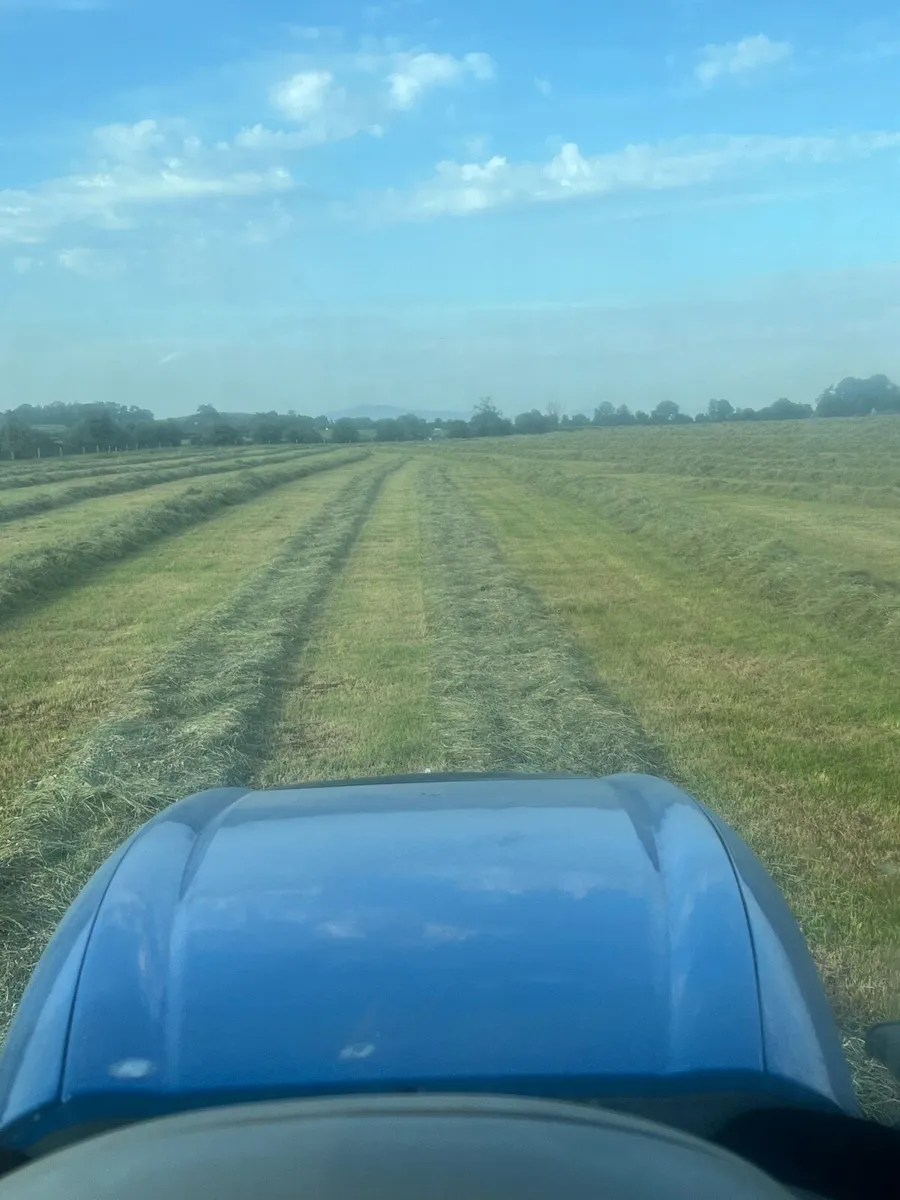 Bales of Haylage for sale - Image 1