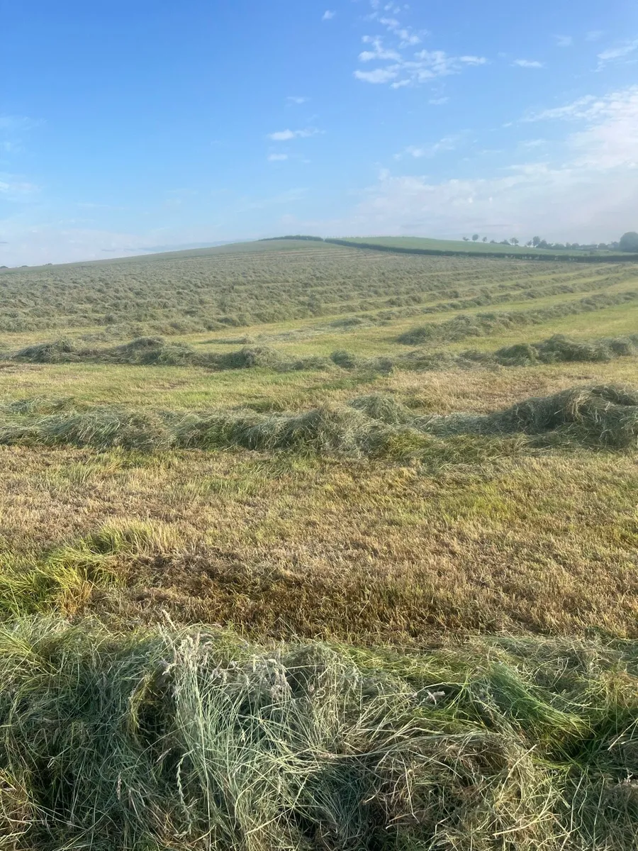Bales of Haylage for sale - Image 3