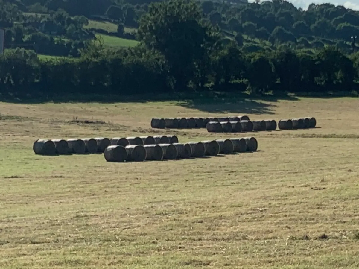 HAY Round Bales. - Image 3