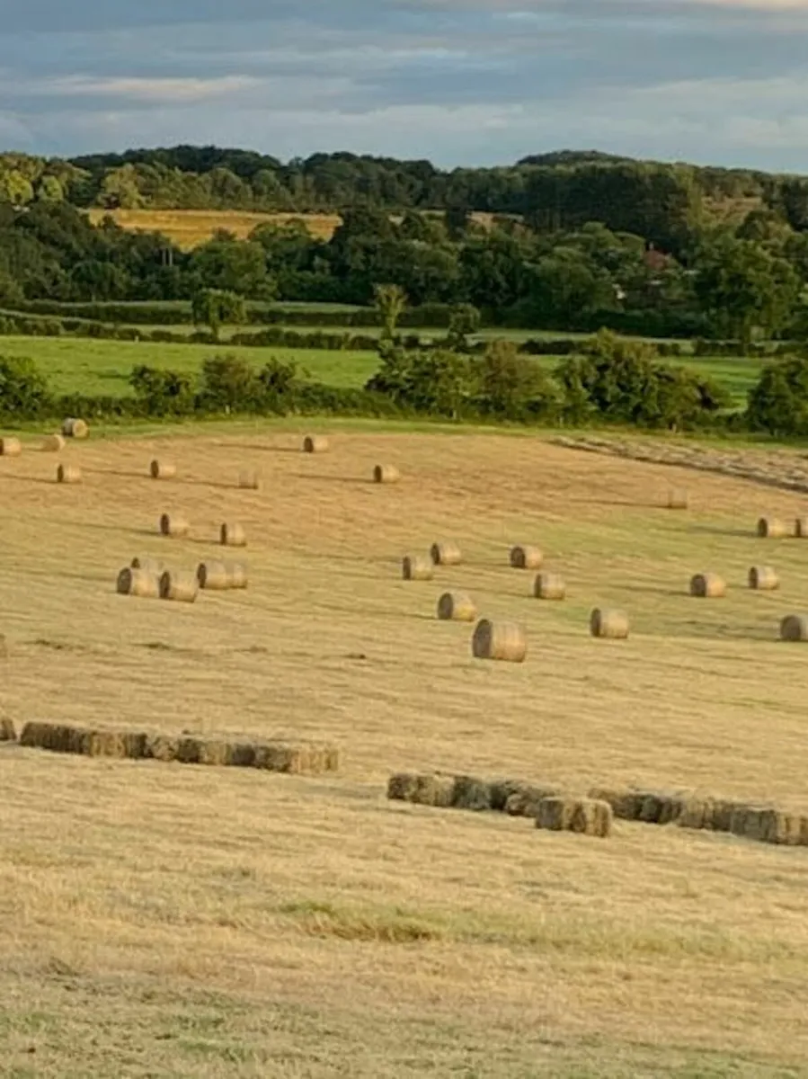 HAY Round Bales. - Image 4