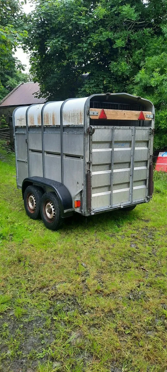 Trailer for sale - Image 4