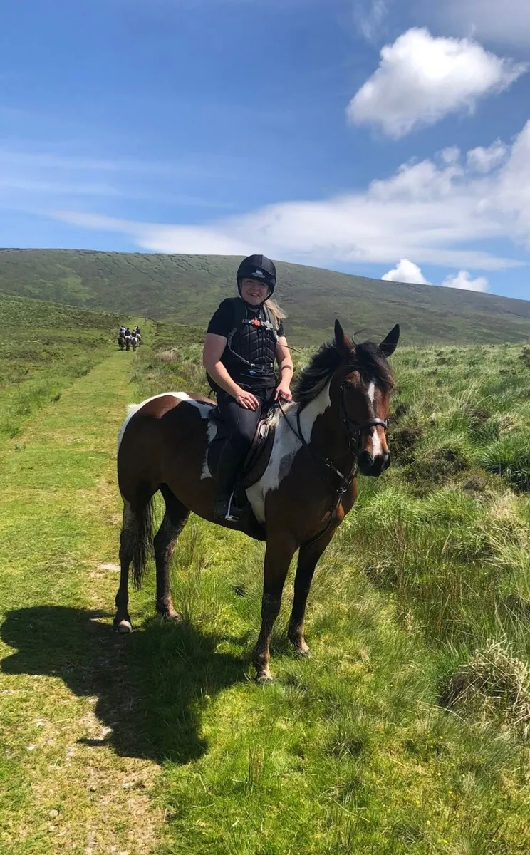 8yo riding coloured mare - Image 3